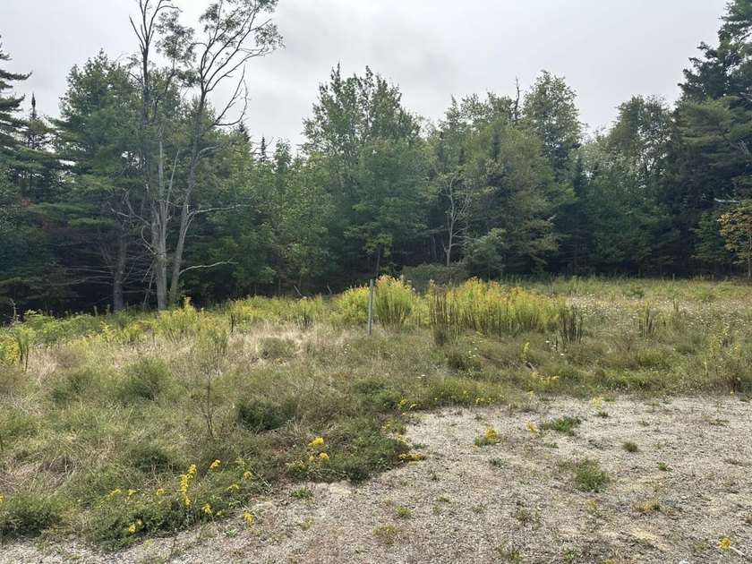 Prime 5.74 Acres on Busy Bangor Road - High-Visibility - photo 4