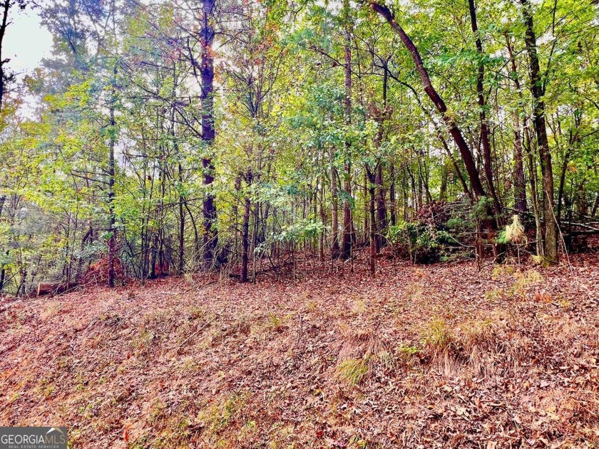 573 Cataula, Ellijay, GA 30540, 5502037