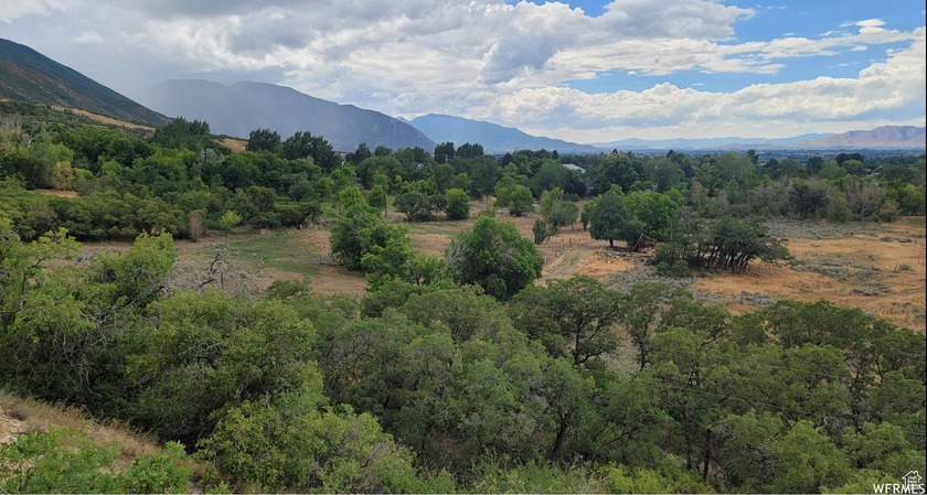 Discover this beautiful property just north of Mapleton Canyon - photo 6