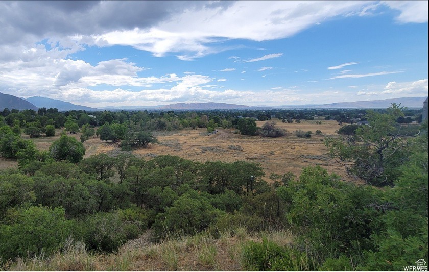 Discover this beautiful property just north of Mapleton Canyon - photo 7