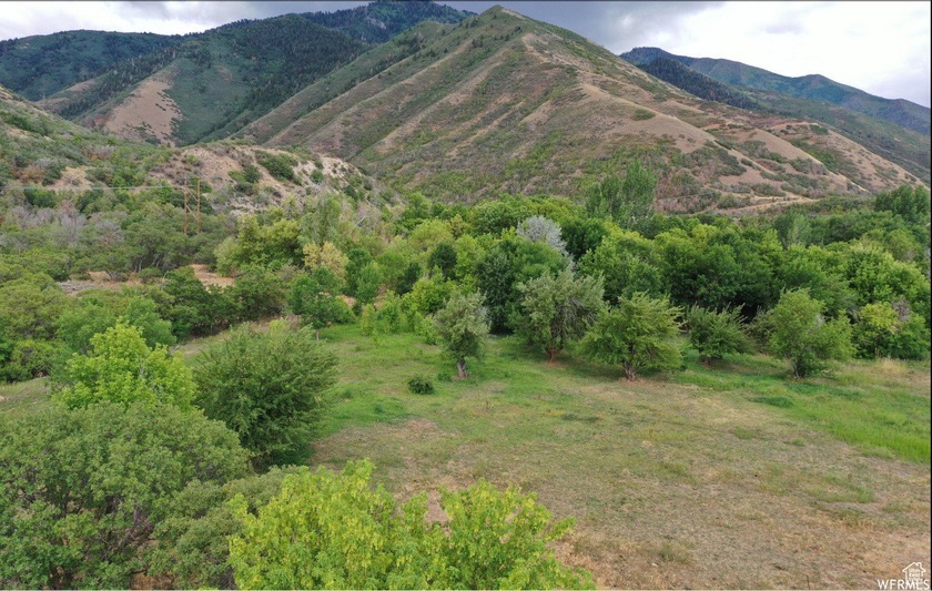 Discover this beautiful property just north of Mapleton Canyon - photo 8
