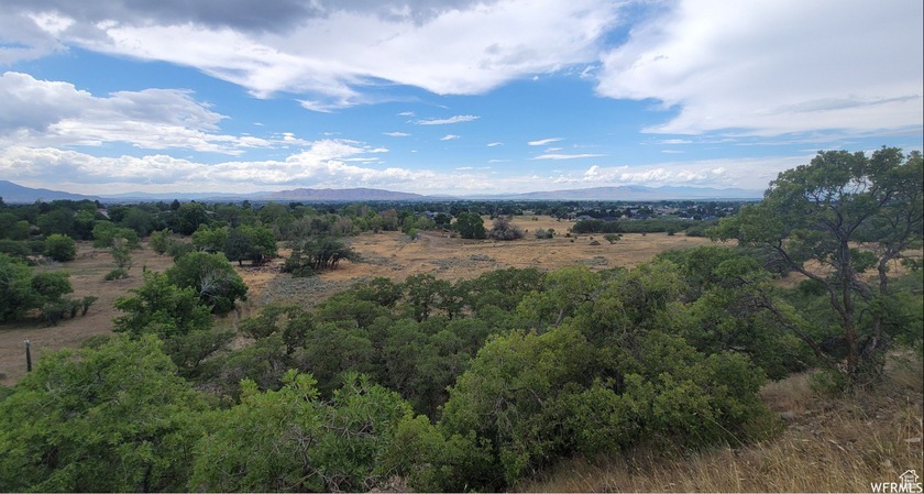 Discover this beautiful property just north of Mapleton Canyon - photo 9