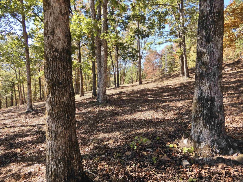 Drive by and look at 3 LOTS (each LOT is one + acres for a total - photo 7