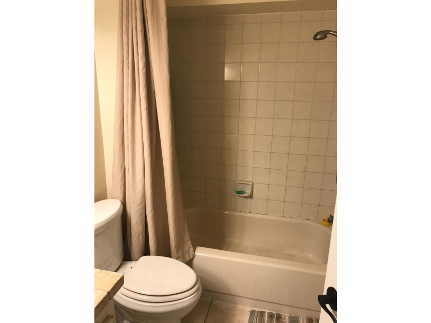 Beautiful 2/2 condo with 1,128 sqft, vaulted ceilings, ceramic - photo 15