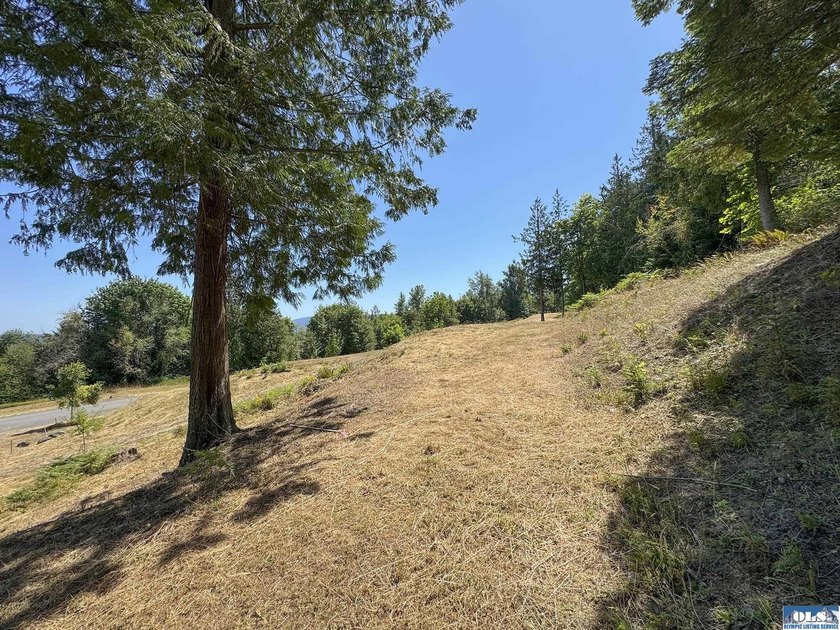 Build your dream home on this spacious 0.8 acre lot in the - photo 24