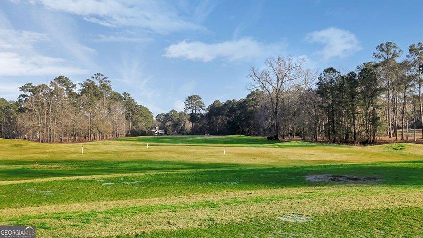 Welcome to 9 Wood Duck Drive in Savannahs highly sought-after - photo 42