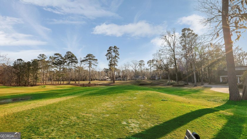 Welcome to 9 Wood Duck Drive in Savannahs highly sought-after - photo 43