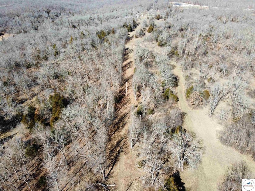 Terrific 119.5-acre m/l tract of land with tons of wildlife and - photo 5