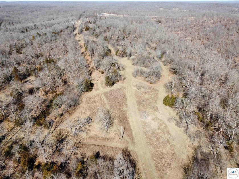 Terrific 119.5-acre m/l tract of land with tons of wildlife and - photo 6
