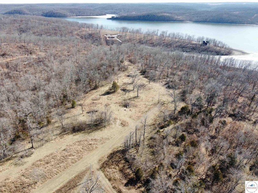 Terrific 119.5-acre m/l tract of land with tons of wildlife and - photo 7