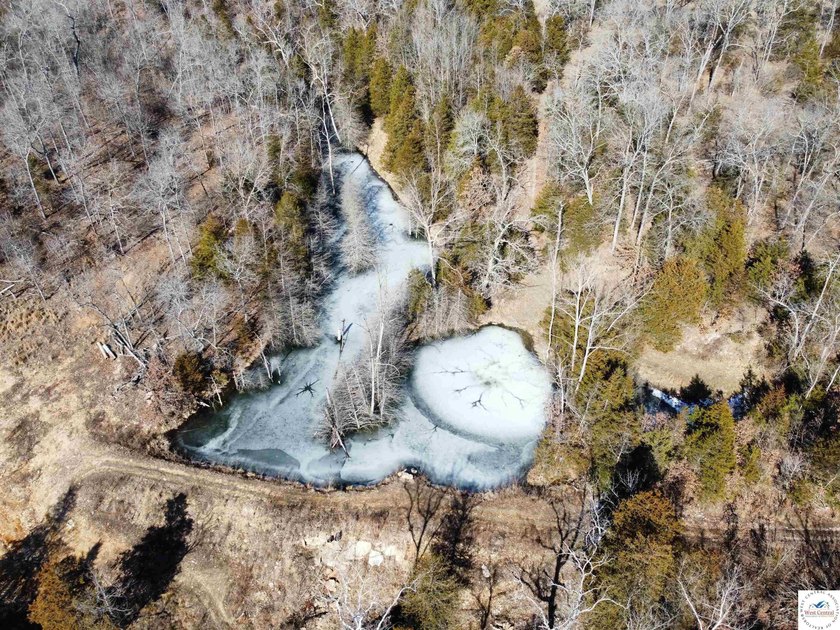 Terrific 119.5-acre m/l tract of land with tons of wildlife and - photo 10