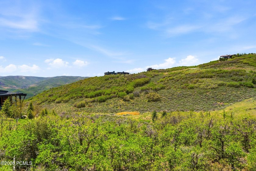 Discover this stunning south-facing homesite in Tuhaye - photo 5