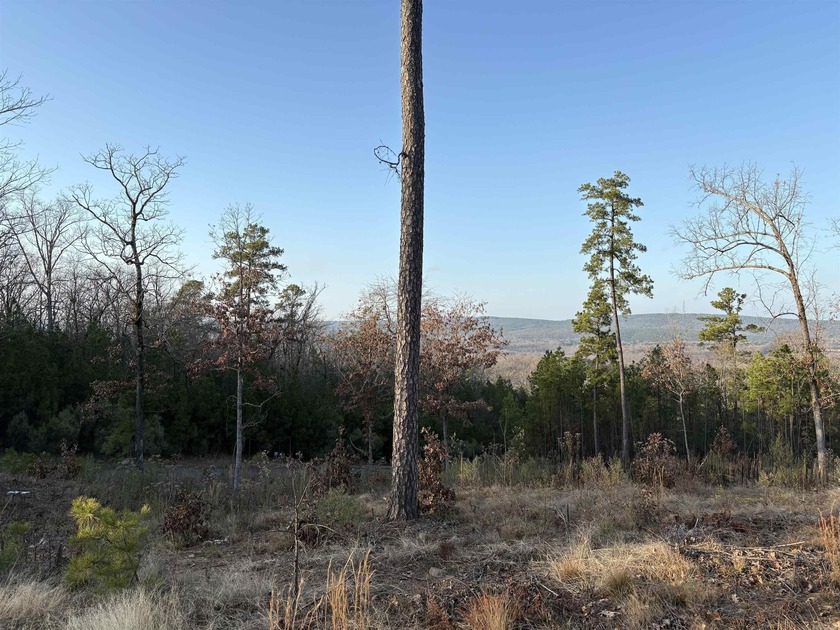 An exceptional opportunity to own a homesite in the gated - photo 3