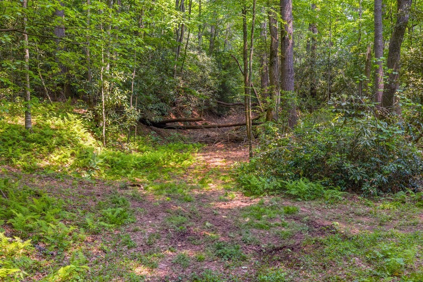 Beautifully wooded 5.83+/- gently rolling acres that adjoin the - photo 7