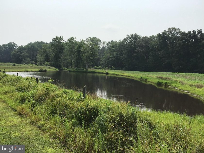 ONCE IN A LIFETIME BIG BUCK FARM PLUS GEESE, WOOD DUCKS AND - photo 15