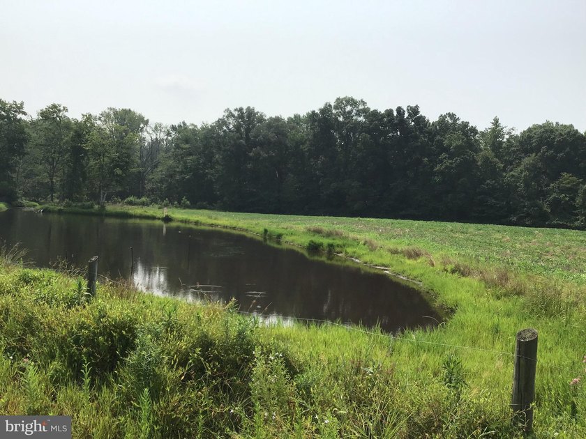 ONCE IN A LIFETIME BIG BUCK FARM PLUS GEESE, WOOD DUCKS AND - photo 16