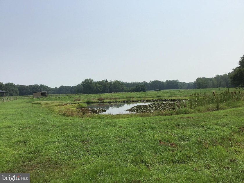 ONCE IN A LIFETIME BIG BUCK FARM PLUS GEESE, WOOD DUCKS AND - photo 23
