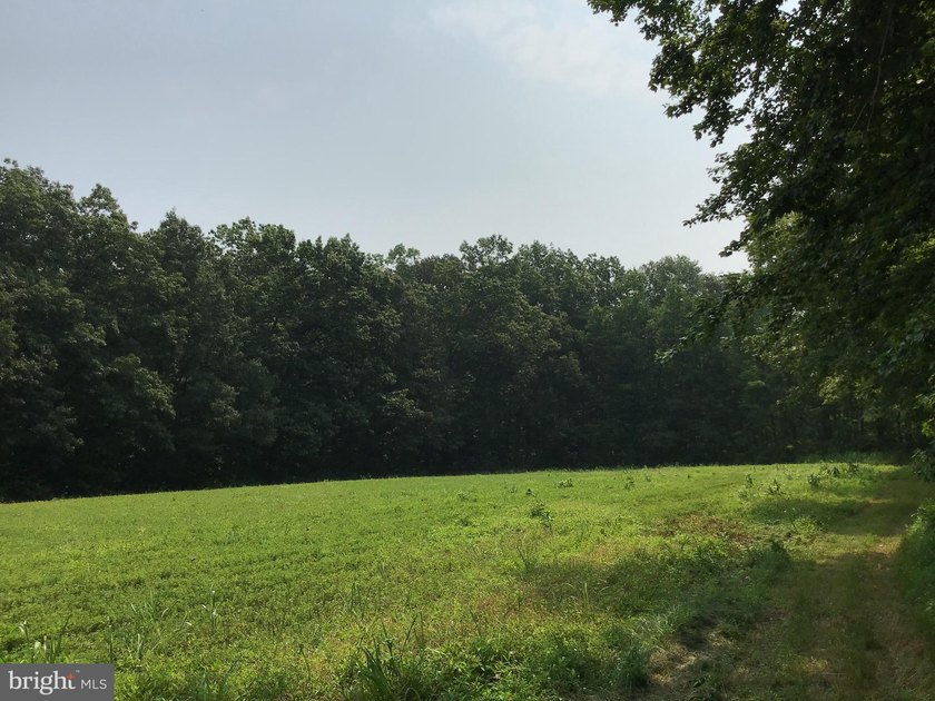 ONCE IN A LIFETIME BIG BUCK FARM PLUS GEESE, WOOD DUCKS AND - photo 30
