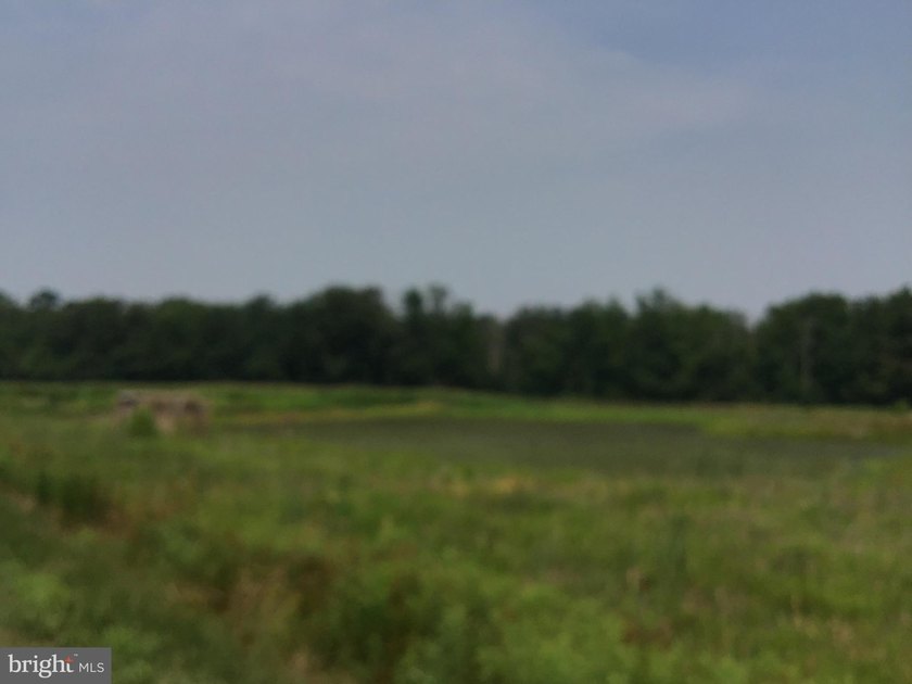 ONCE IN A LIFETIME BIG BUCK FARM PLUS GEESE, WOOD DUCKS AND - photo 35