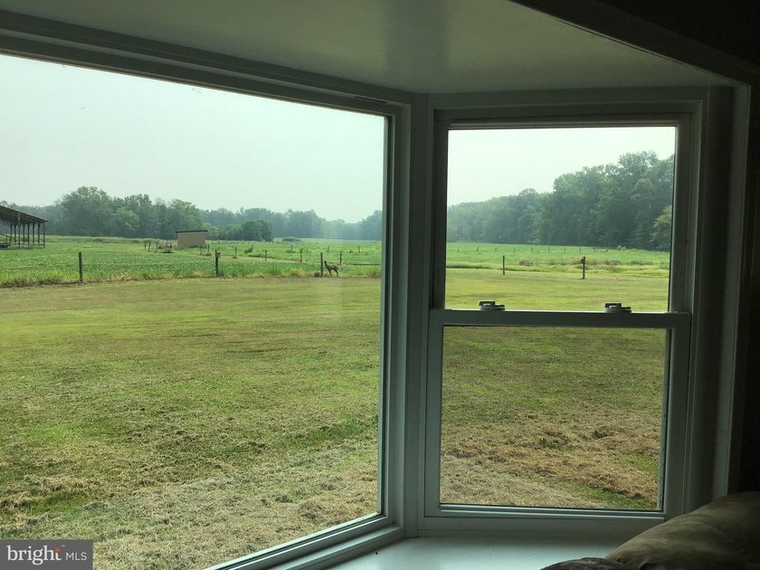 ONCE IN A LIFETIME BIG BUCK FARM PLUS GEESE, WOOD DUCKS AND - photo 49