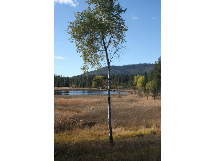 53.21 Acres. This ultra secluded parcel has it's own 5+ acre - photo 12