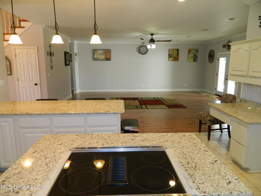 Nice family home, move in ready, master bedroom on lower floor - photo 17