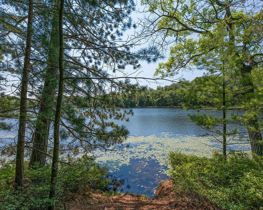 Candidly breathtaking lake front lot in Newbold awaits its new - photo 2