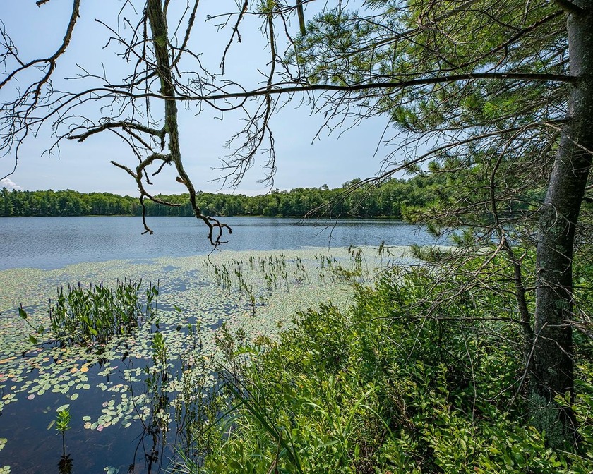 Candidly breathtaking lake front lot in Newbold awaits its new - photo 3