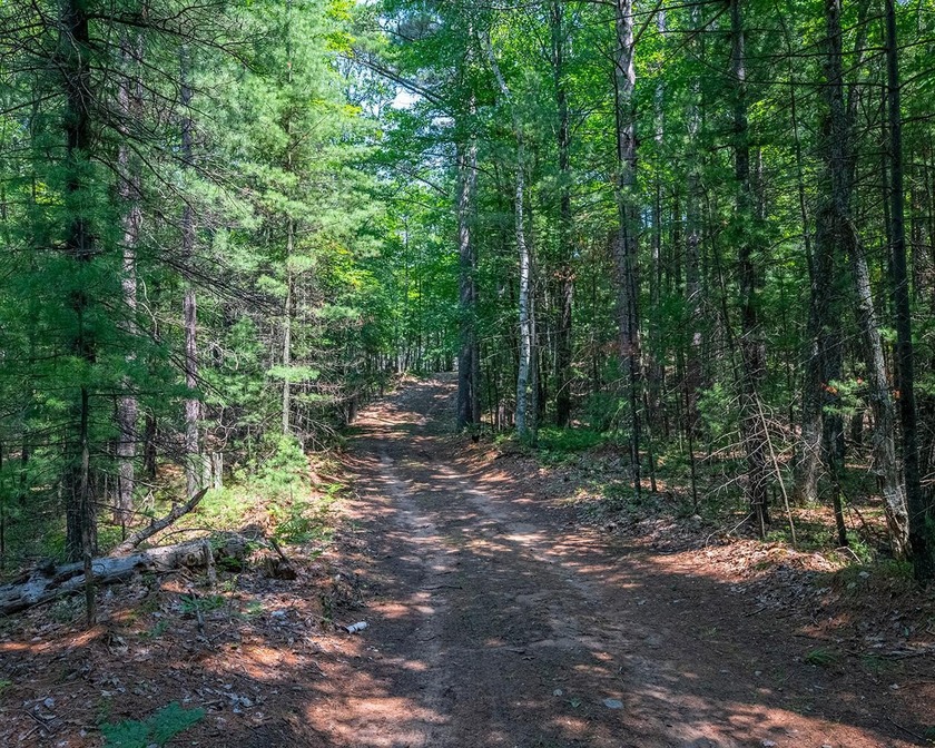 Candidly breathtaking lake front lot in Newbold awaits its new - photo 5