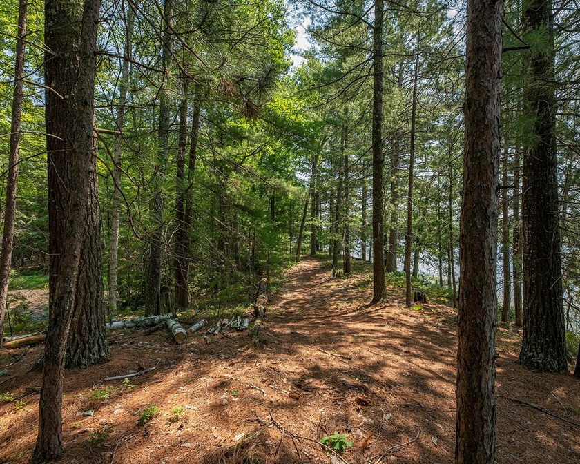 Candidly breathtaking lake front lot in Newbold awaits its new - photo 6