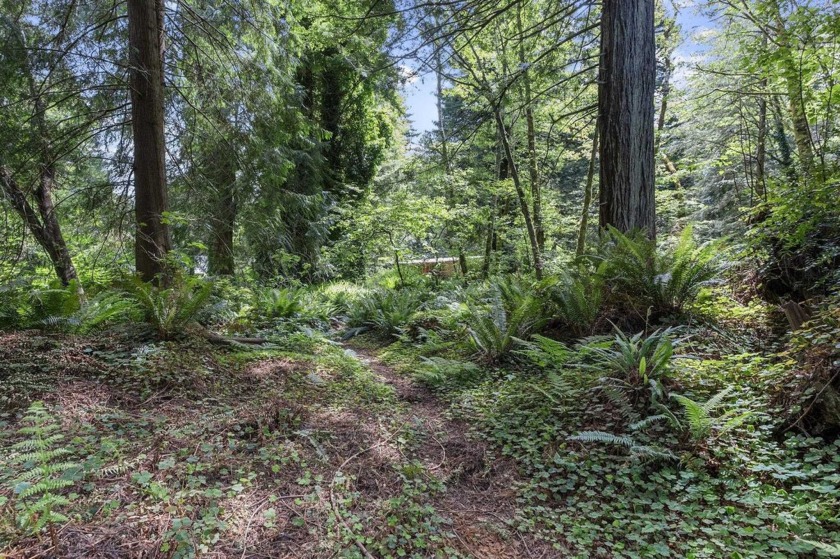 Tucked beneath towering redwoods on a full acre, this 2-bedroom - photo 35