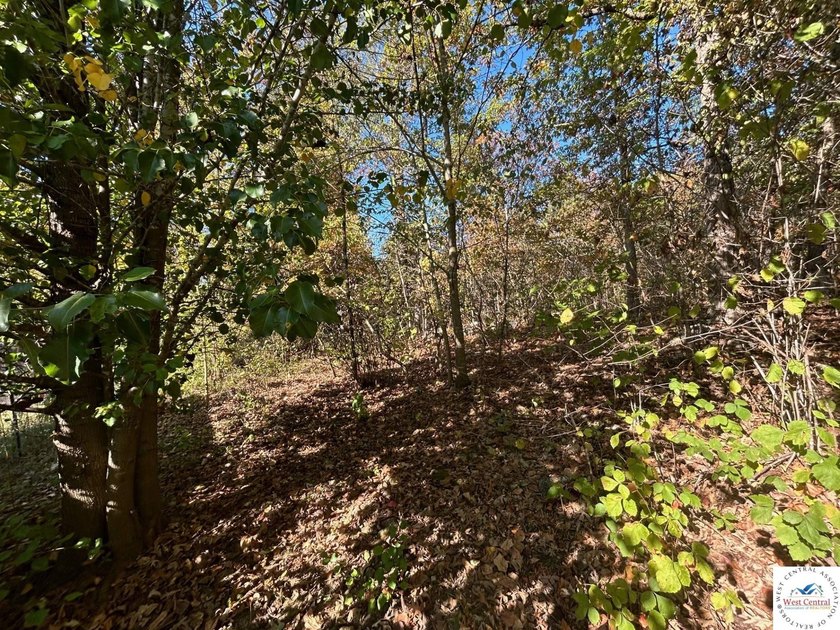 94 acres of Hunting Haven! Perfectly suited for the avid - photo 2