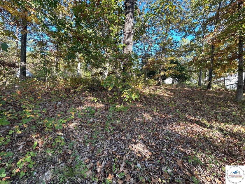 94 acres of Hunting Haven! Perfectly suited for the avid - photo 3