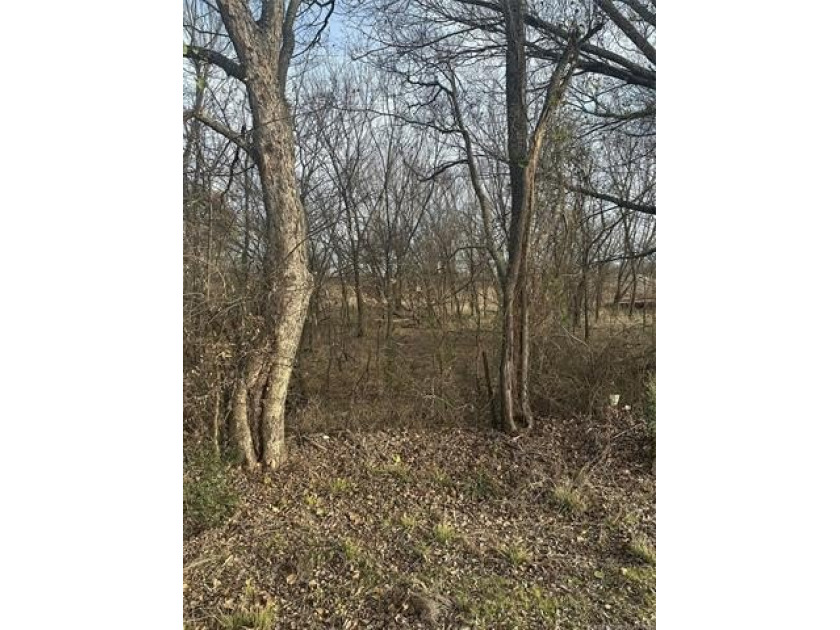 Opportunity awaits with this 1/2-acre lot on Highway 77 in Davis - photo 2
