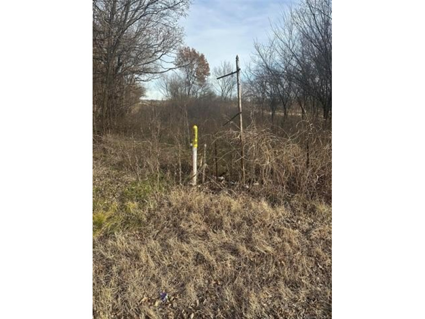 Opportunity awaits with this 1/2-acre lot on Highway 77 in Davis - photo 4