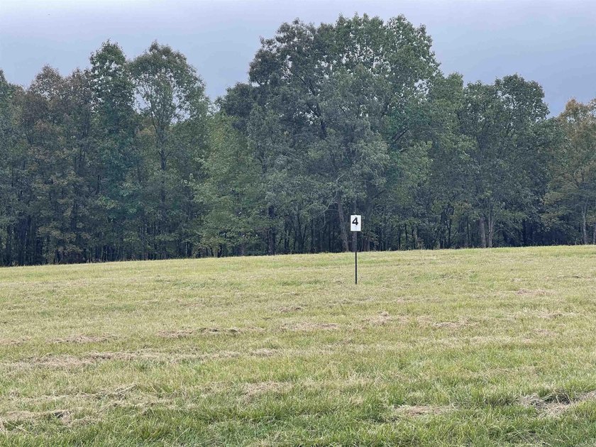 3.10 acres, lakefront that backs up to US Army Corp. of - photo 2