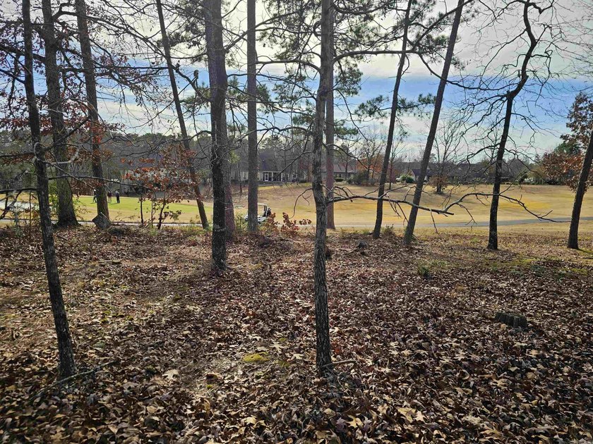 Nice, semi-level, golf-frontage lot on Balboa golf course with - photo 6