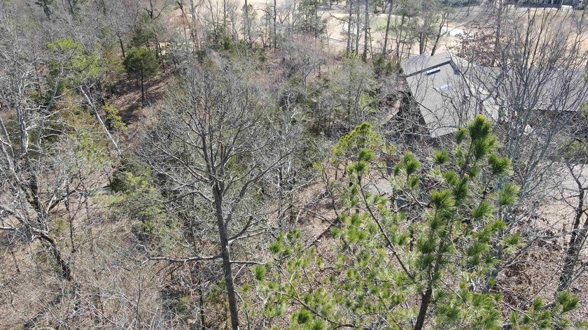 Nice, semi-level, golf-frontage lot on Balboa golf course with - photo 8