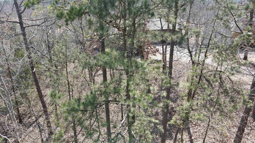 Nice, semi-level, golf-frontage lot on Balboa golf course with - photo 10