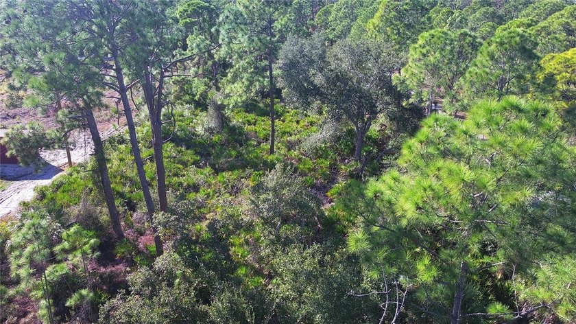 Incredible opportunity to own a residential lot in the growing - photo 11