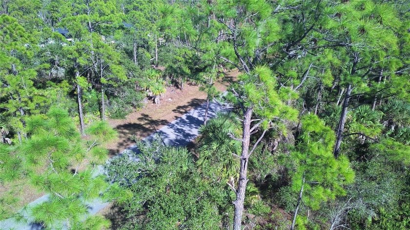 Incredible opportunity to own a residential lot in the growing - photo 15