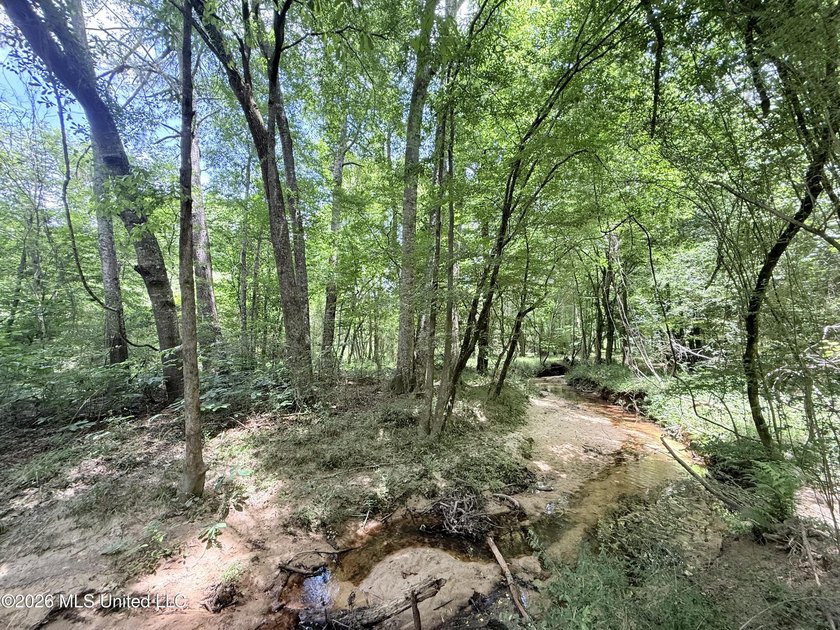 This beautiful 53.3-acre property is located in Summit - photo 14