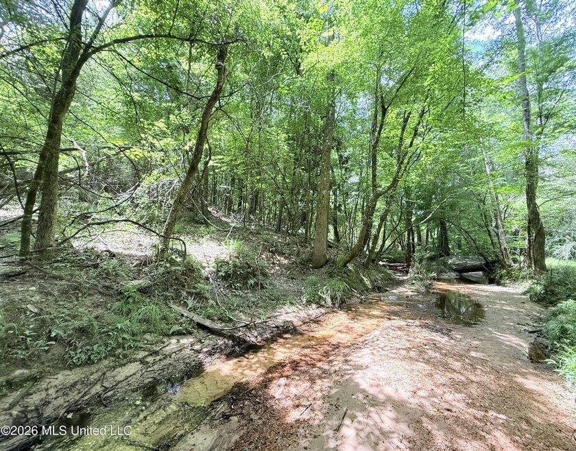 This beautiful 53.3-acre property is located in Summit - photo 15