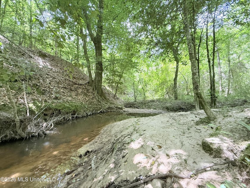 This beautiful 53.3-acre property is located in Summit - photo 16