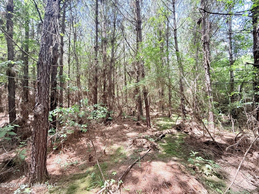 This beautiful 53.3-acre property is located in Summit - photo 20