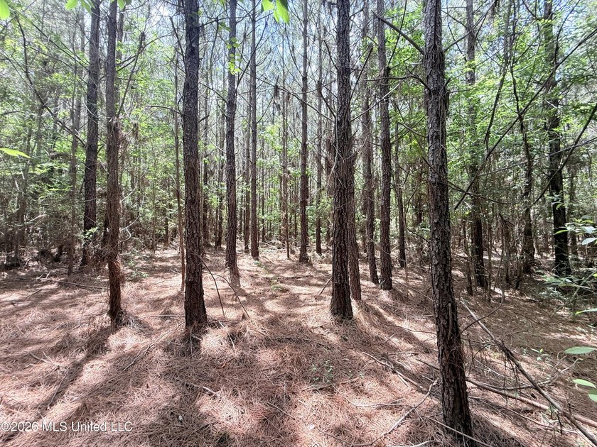 This beautiful 53.3-acre property is located in Summit - photo 21