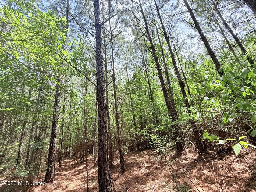 This beautiful 53.3-acre property is located in Summit - photo 22