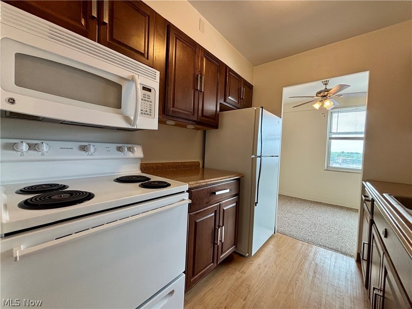 Welcome to this spacious, updated move-in-ready one-bedroom - photo 3
