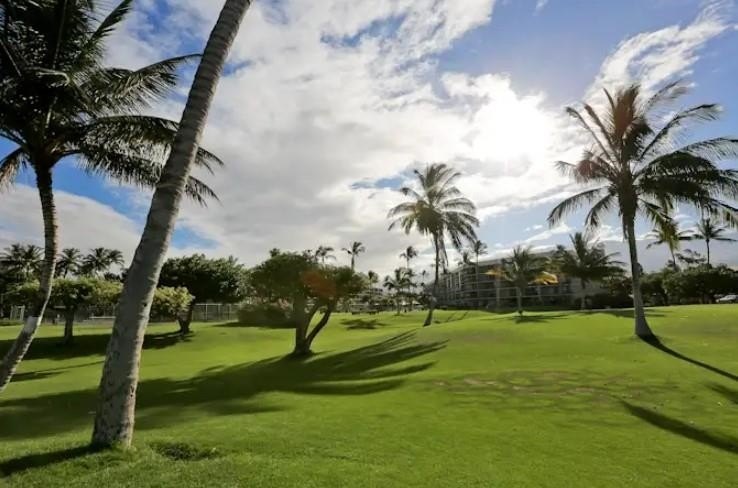 This beautifully updated 1 bedroom, 2 bathroom condo is ground - photo 27