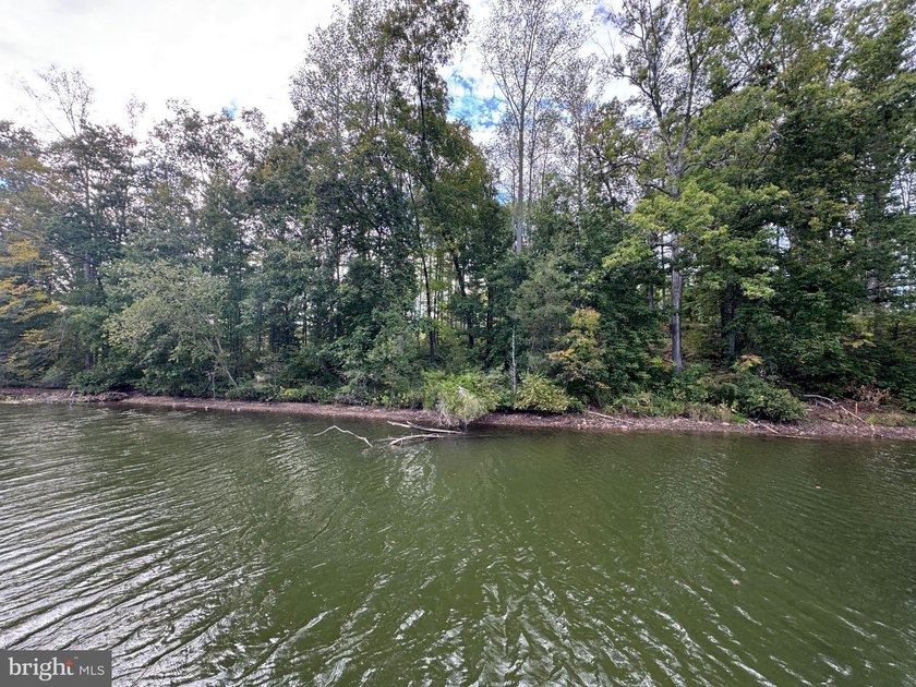 Luxury waterfront living awaits in this to-be-built custom - photo 42